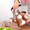Stainless Steel Silver Kettle