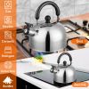 Stainless Steel Whistling Tea Kettle with Insulated Handle