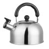 Stainless Steel Whistling Tea Kettle with Insulated Handle