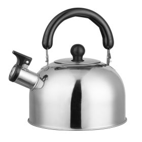 Stainless Steel Whistling Tea Kettle with Insulated Handle